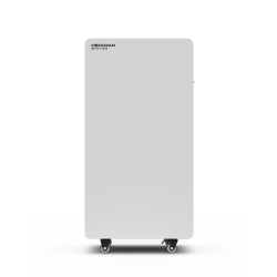 Niskonapięciowy Magazyn Energii HECKMAN MLFP51320A (15 kWh, 51.2V)